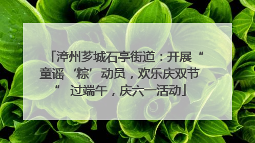 漳州芗城石亭街道：开展“童谣‘粽’动员，欢乐庆双节” 过端午，庆六一活动