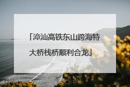 漳汕高铁东山跨海特大桥栈桥顺利合龙