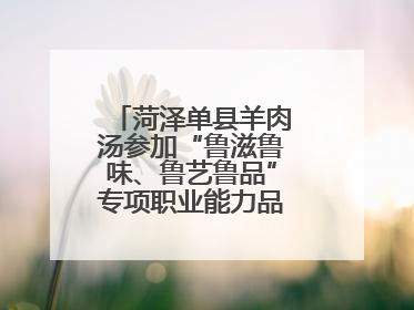 菏泽单县羊肉汤参加“鲁滋鲁味、鲁艺鲁品”专项职业能力品牌展示活动