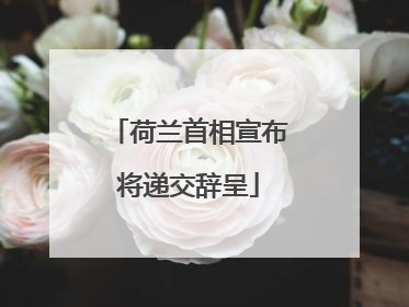 荷兰首相宣布将递交辞呈