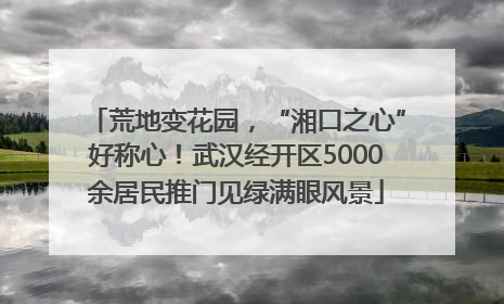 荒地变花园，“湘口之心”好称心！武汉经开区5000余居民推门见绿满眼风景