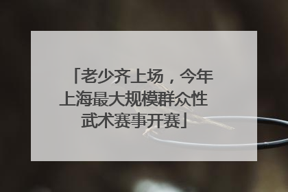 老少齐上场，今年上海最大规模群众性武术赛事开赛