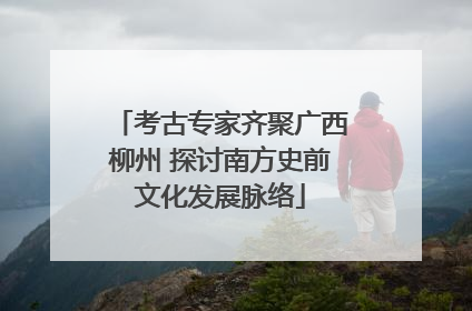 考古专家齐聚广西柳州 探讨南方史前文化发展脉络