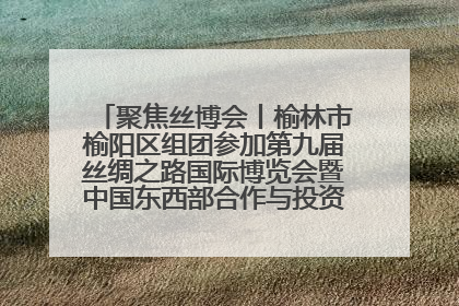 聚焦丝博会丨榆林市榆阳区组团参加第九届丝绸之路国际博览会暨中国东西部合作与投资贸易洽谈会