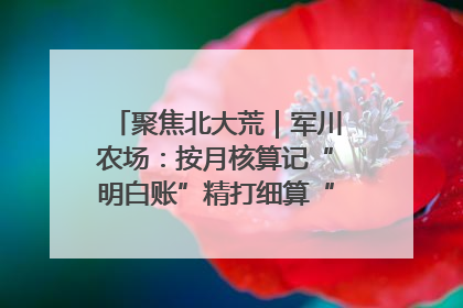 聚焦北大荒｜军川农场：按月核算记“明白账”精打细算“过紧日子”