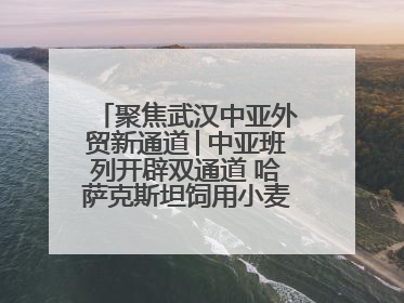 聚焦武汉中亚外贸新通道│中亚班列开辟双通道 哈萨克斯坦饲用小麦将抵鄂