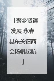 聚乡贤谋发展 永春县东关镇商会扬帆起航