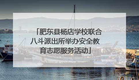 肥东县杨店学校联合八斗派出所举办安全教育志愿服务活动
