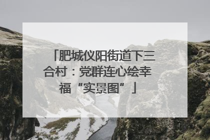 肥城仪阳街道下三合村：党群连心绘幸福“实景图”