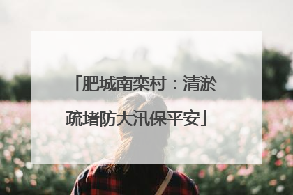 肥城南栾村：清淤疏堵防大汛保平安