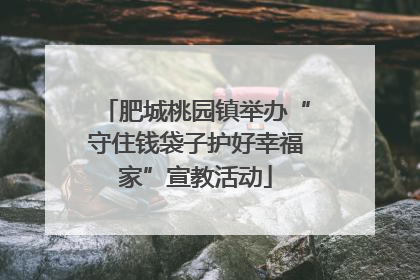 肥城桃园镇举办“守住钱袋子护好幸福家”宣教活动