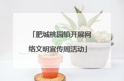 肥城桃园镇开展网络文明宣传周活动