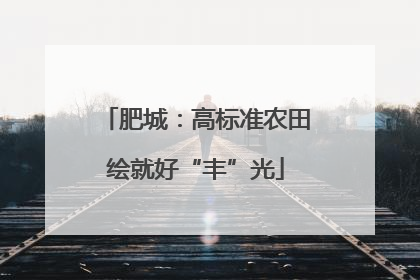 肥城：高标准农田绘就好“丰”光