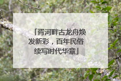 胥河畔古龙舟焕发新彩，百年民俗续写时代华章