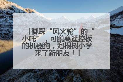 脚踩“风火轮”的“小吒”，可脱离遥控板的机器狗，泡桐树小学来了新朋友！