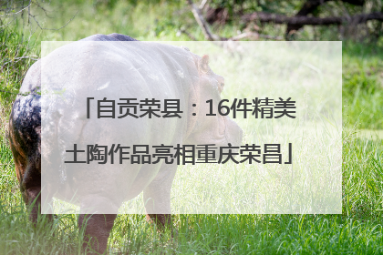 自贡荣县：16件精美土陶作品亮相重庆荣昌