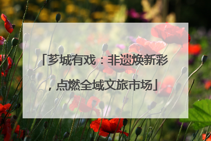 芗城有戏：非遗焕新彩，点燃全域文旅市场