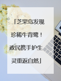 芝罘岛发现珍稀牛背鹭！政民携手护生灵重返自然