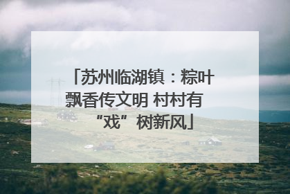 苏州临湖镇：粽叶飘香传文明 村村有“戏”树新风