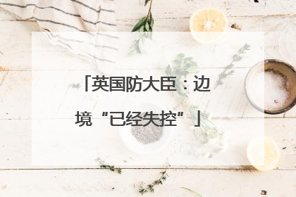 英国防大臣：边境“已经失控”