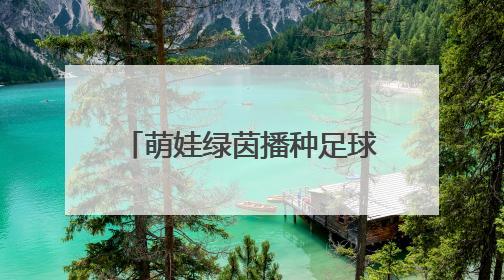 萌娃绿茵播种足球梦——LHK福宝之星第三届幼儿足球嘉年华精彩绽放