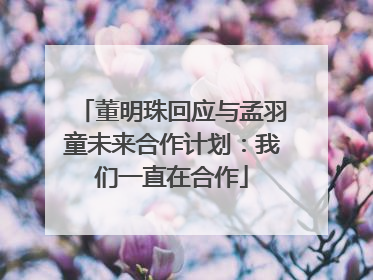 董明珠回应与孟羽童未来合作计划：我们一直在合作