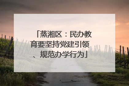 蒸湘区：民办教育要坚持党建引领、规范办学行为