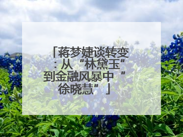蒋梦婕谈转变：从“林黛玉”到金融风暴中“徐晓慧”