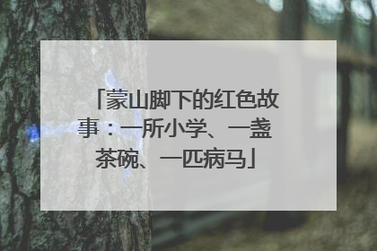 蒙山脚下的红色故事：一所小学、一盏茶碗、一匹病马