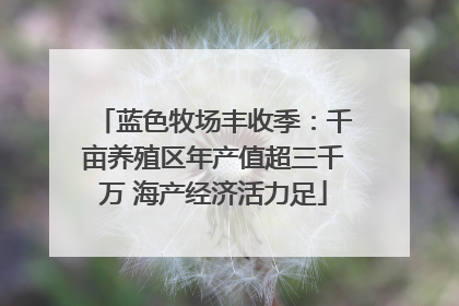 蓝色牧场丰收季：千亩养殖区年产值超三千万 海产经济活力足
