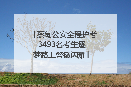 蔡甸公安全程护考 3493名考生逐梦路上警徽闪耀