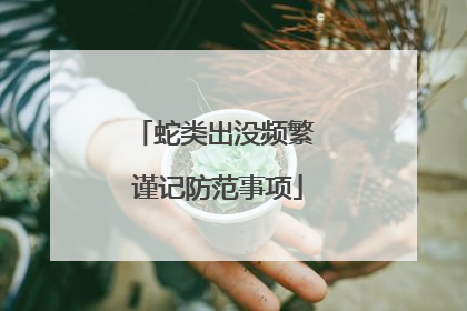 蛇类出没频繁 谨记防范事项