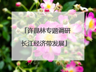 许昆林专题调研长江经济带发展
