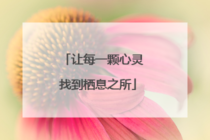 让每一颗心灵找到栖息之所