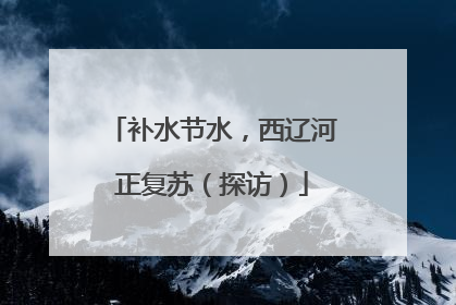 补水节水，西辽河正复苏（探访）