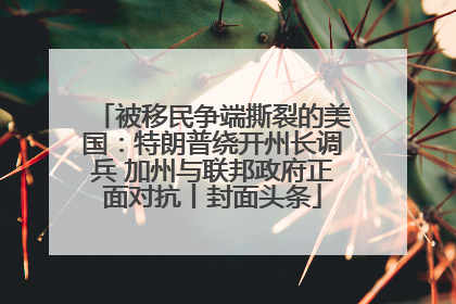 被移民争端撕裂的美国：特朗普绕开州长调兵 加州与联邦政府正面对抗丨封面头条