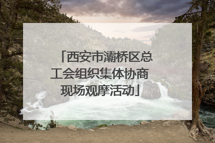 西安市灞桥区总工会组织集体协商现场观摩活动