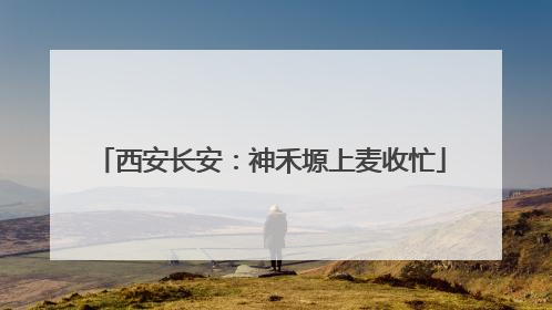 西安长安：神禾塬上麦收忙