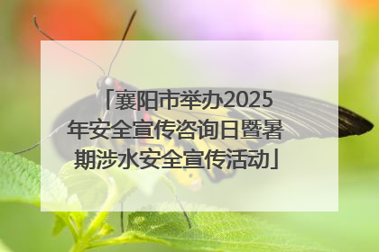 襄阳市举办2025年安全宣传咨询日暨暑期涉水安全宣传活动
