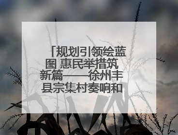 规划引领绘蓝图 惠民举措筑新篇——徐州丰县宗集村奏响和美乡村振兴曲