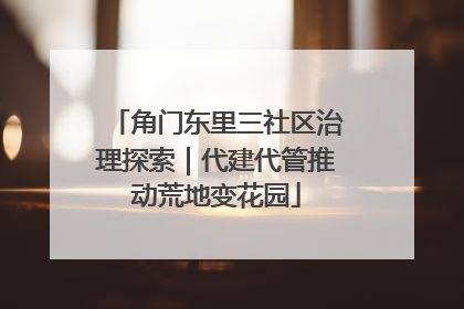 角门东里三社区治理探索｜代建代管推动荒地变花园