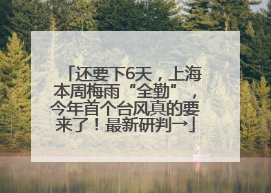还要下6天，上海本周梅雨“全勤”，今年首个台风真的要来了！最新研判→
