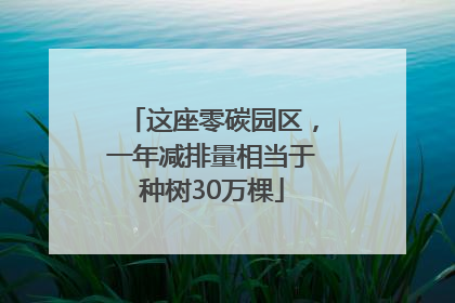 这座零碳园区，一年减排量相当于种树30万棵