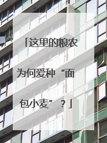 这里的粮农为何爱种“面包小麦”？
