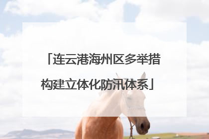 连云港海州区多举措构建立体化防汛体系