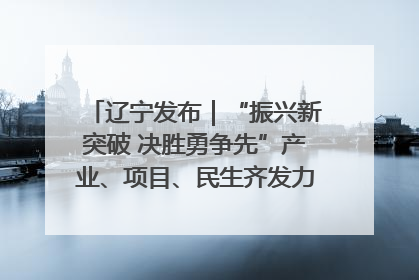 辽宁发布｜“振兴新突破 决胜勇争先”产业、项目、民生齐发力 葫芦岛按下决胜之年“加速键”