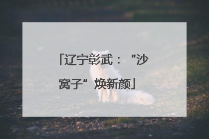 辽宁彰武：“沙窝子”焕新颜