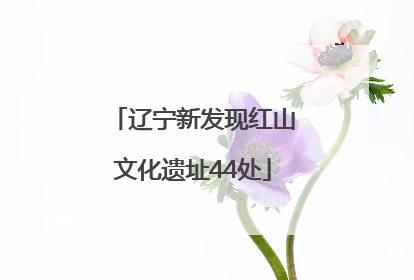 辽宁新发现红山文化遗址44处