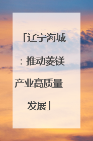 辽宁海城：推动菱镁产业高质量发展