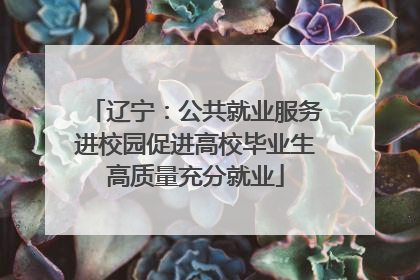 辽宁：公共就业服务进校园促进高校毕业生高质量充分就业